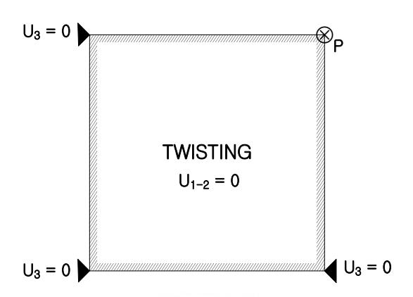Fig. 10 Constant Twist Patch Test Model